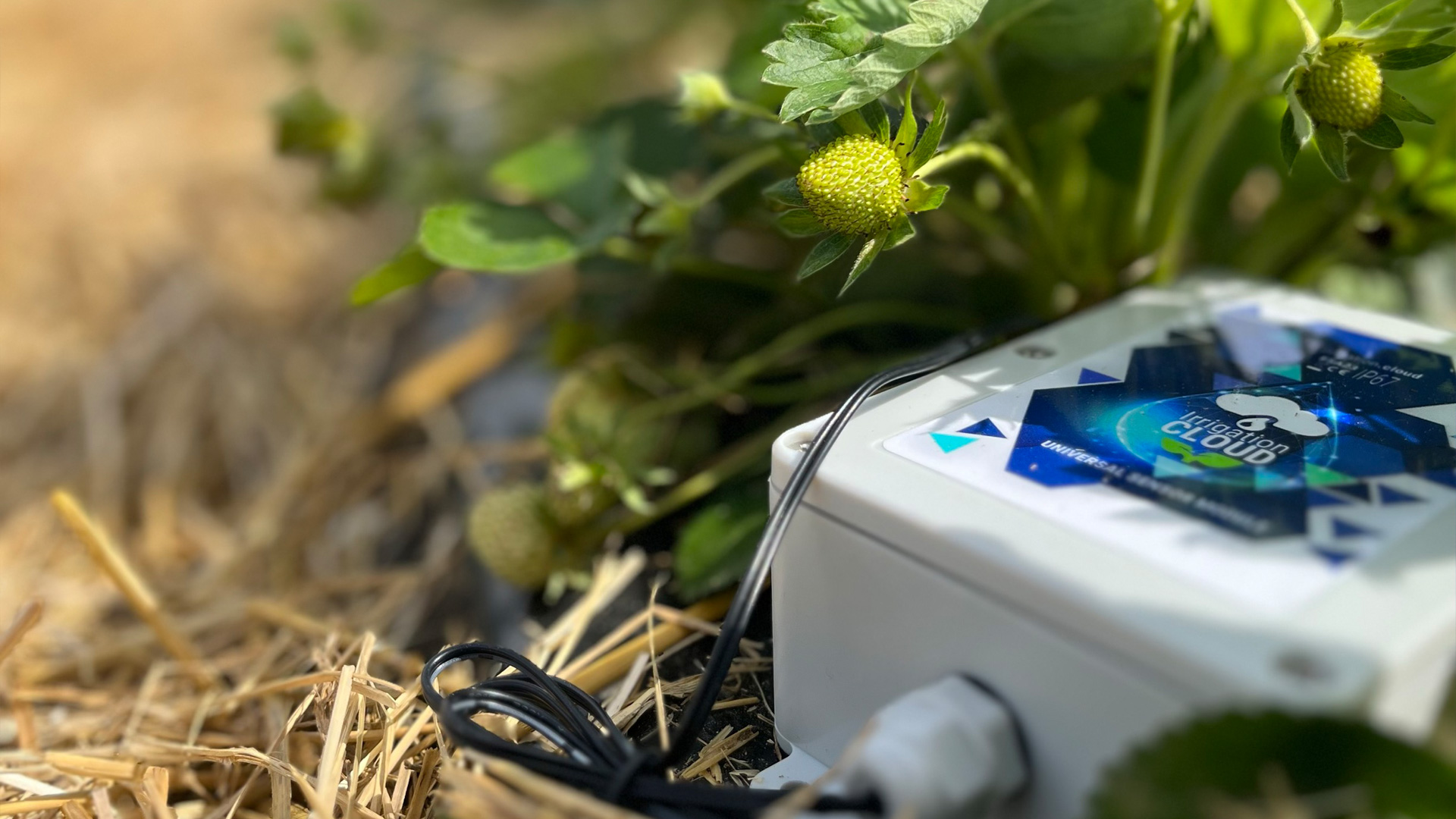 Irrigation Cloud: Die Intelligente Bewässerung in der Landwirtschaft von Fluid Systems & Automation