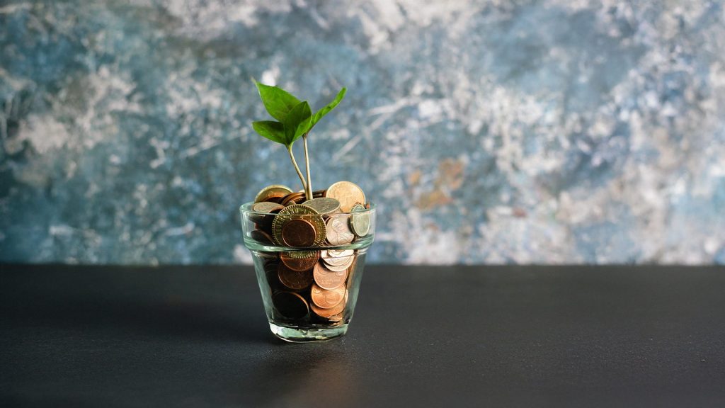 Ein kleines Pflänzchen wächst aus einem Glas, das mit Münzen gefüllt ist – symbolisch für nachhaltiges Wachstum und die Notwendigkeit, finanzielle Rücklagen sowie Gemeinkosten strategisch zu planen.