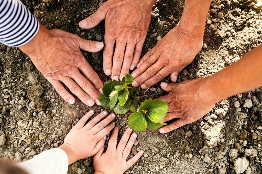 Mehrere Hände umgeben eine junge Pflanze in Erde und symbolisieren gemeinsames Engagement für Nachhaltigkeit, langfristige Verantwortung und Klimastrategien im Rahmen des SBTi Corporate Net-Zero Standard.