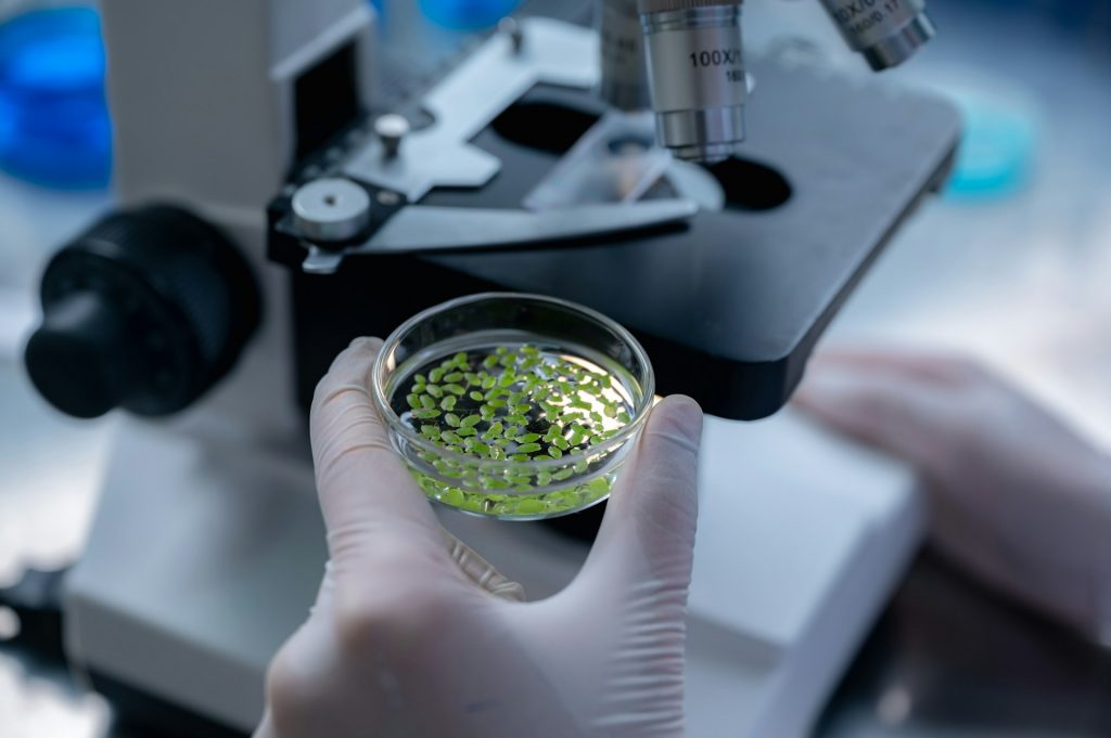 BioValid Förderaufruf für Forschungs- und Entwicklungsprojekte: Analyse von Pflanzenproben im Labor zur Entwicklung biobasierter Innovationen.